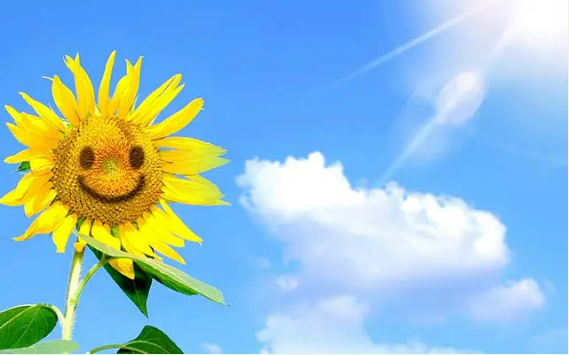 1725355739247.png
